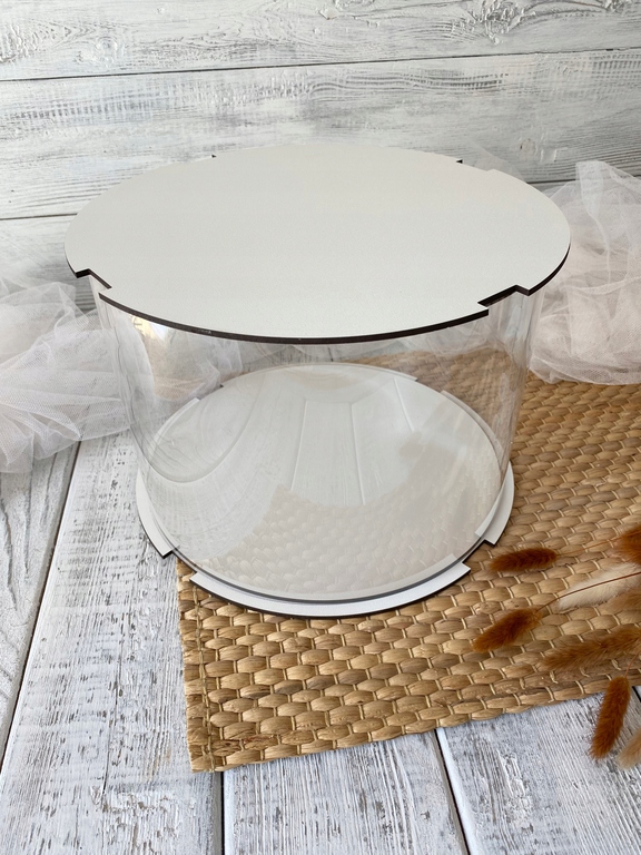 Pudełko PET przezroczyste 25/18 cm (5)